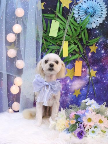 20250704むぎまるくん